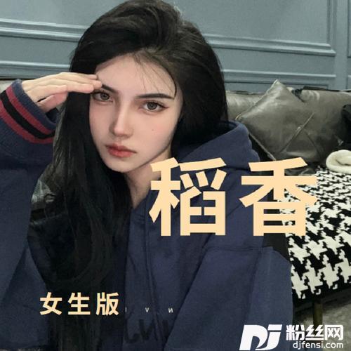稻香cover:周杰伦的专辑