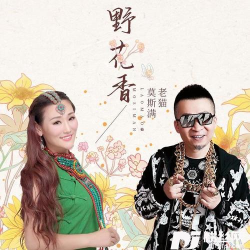 野花香DJ何鹏版