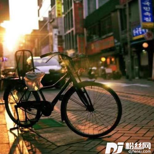 サメの歌cover:中島みゆき