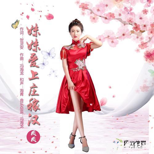 妹妹爱上庄稼汉（DJ版）的专辑