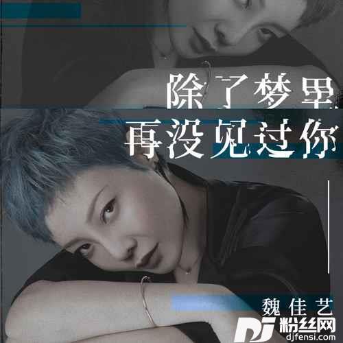 除了梦里再没见过你的专辑