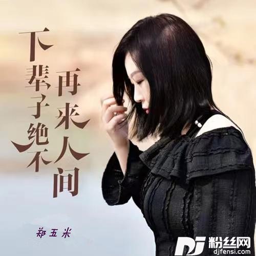 下辈子绝不再来人间