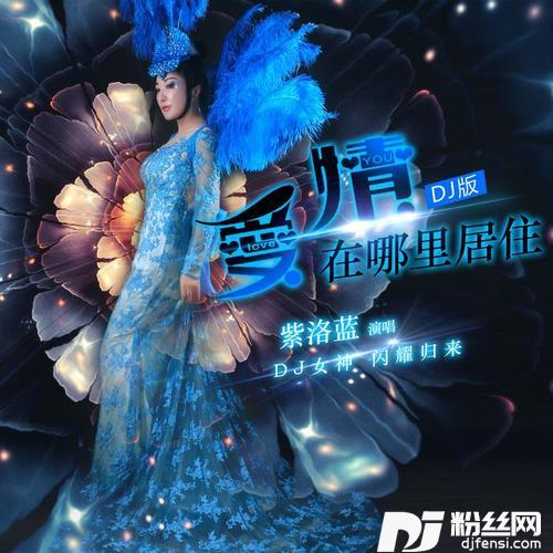 爱情在哪里居住DJ版