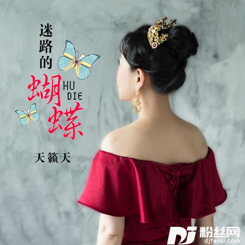 迷路的蝴蝶DJheap九天版