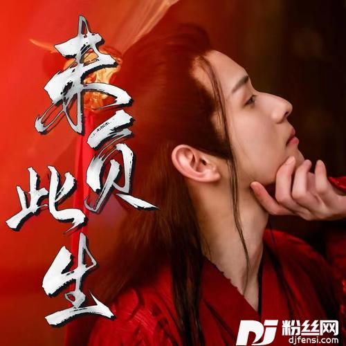未负此生（《将军在下》插曲）