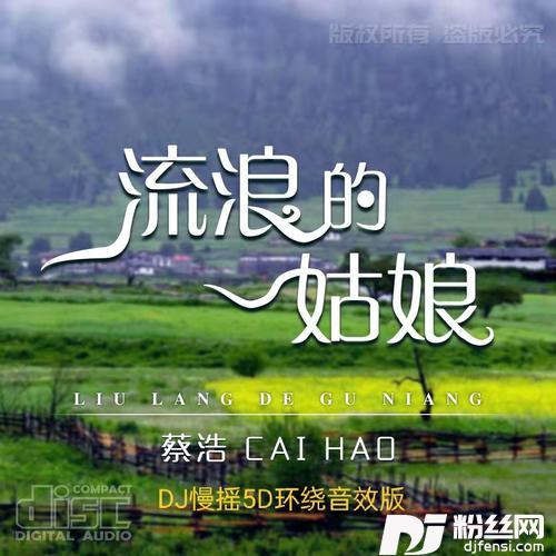 流浪的姑娘（DJ慢摇版）