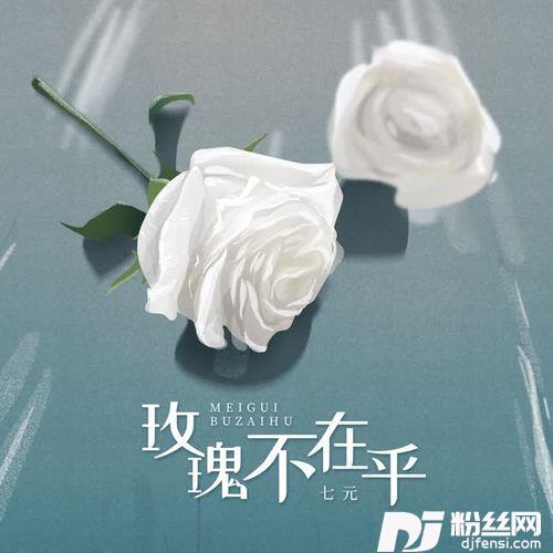 玫瑰不在乎