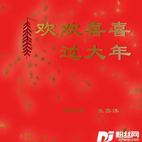 欢欢喜喜过大年