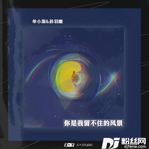 你是我留不住的风景