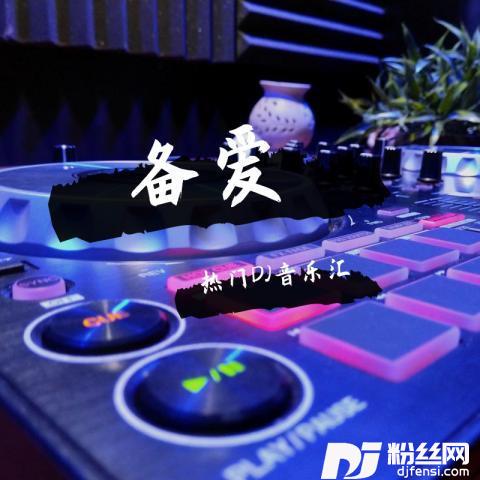 备爱热门DJ音乐汇Remix版