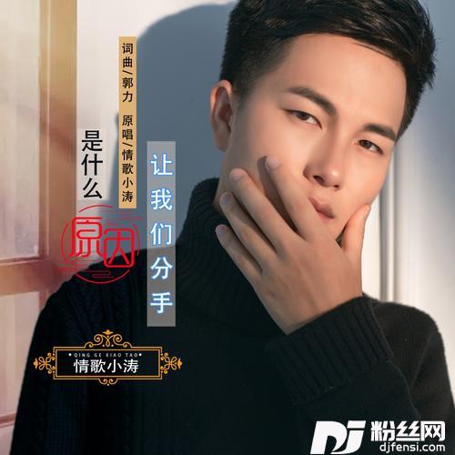 是什么原因让我们分手DJ默涵版