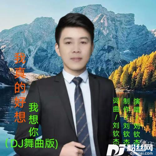 DJ舞曲版-我真的好想我想你