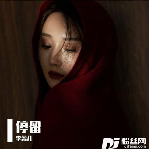 停留DJ默涵版