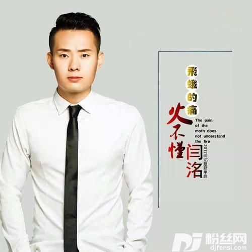 飞蛾的痛火不懂（DJ何鹏版）