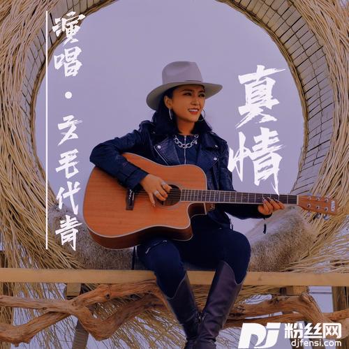 真情