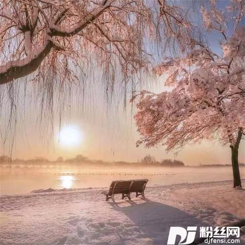 小和尚下山去化斋dj版的专辑