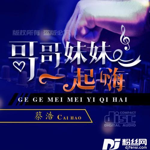 哥哥妹妹一起嗨DJ版
