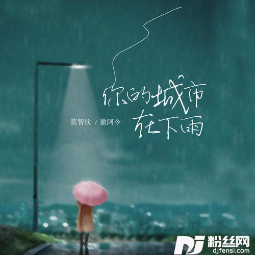 你的城市在下雨