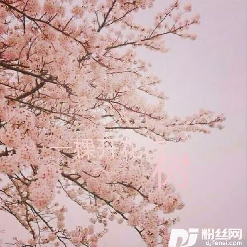 一棵开花的树（钢琴版）