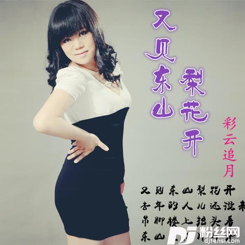 又见东山梨花开
