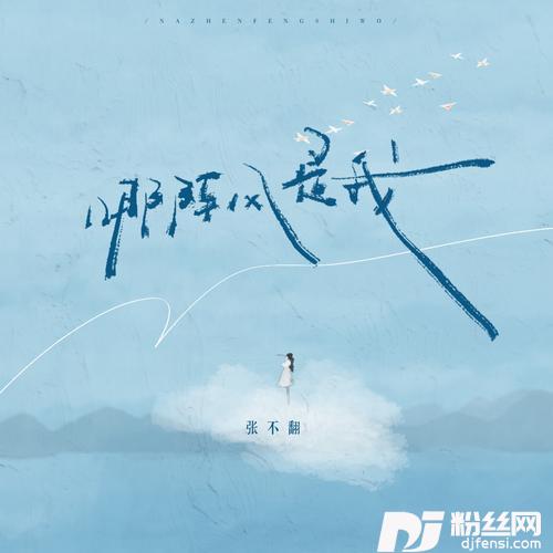哪阵风是我的专辑