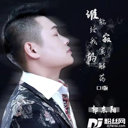 谁能给我寂寞的解药DJ沈念版