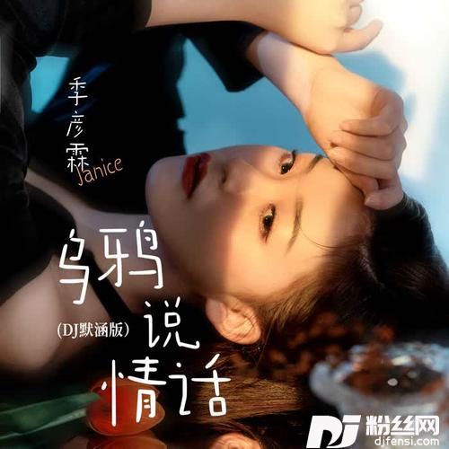 乌鸦说情话DJ默涵版