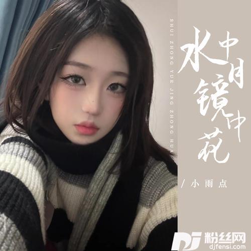 水中月镜中花DJ彭锐版