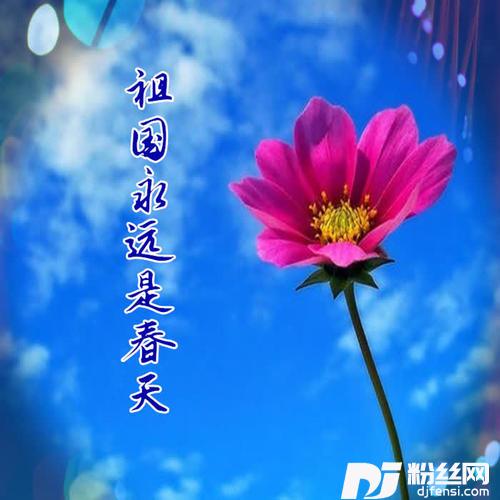 祖国永远是春天的专辑