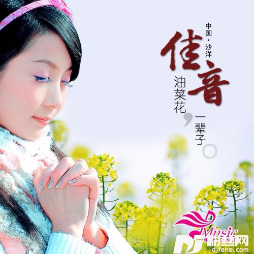 清心曲的专辑