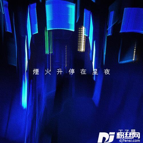 烟花升停在星夜的专辑