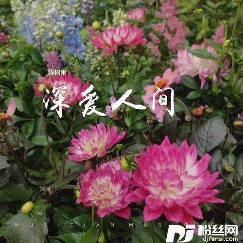 错过了缘分错过了你cover:何龙雨的专辑