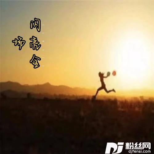 闪亮全场（DJ京仔版）