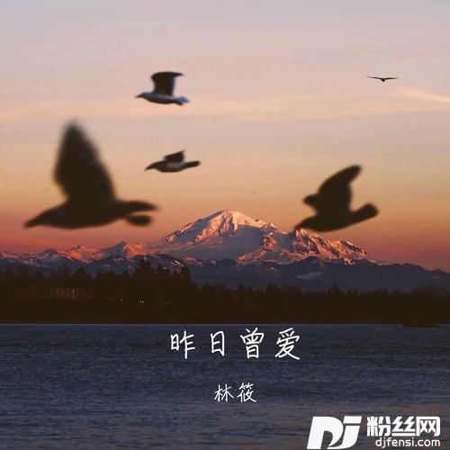 昨日曾爱虚伪的男神中文版的专辑
