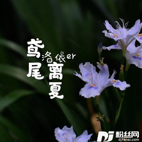 鸢尾离夏的专辑