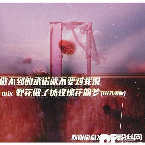做不到的承诺就不要对我说mix野花做了场玫瑰花的梦DJ九零版