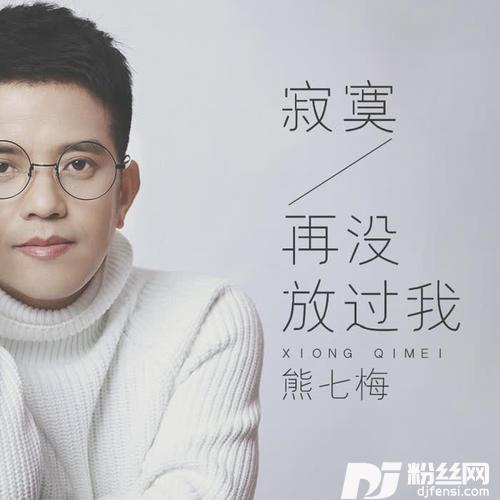 寂寞再没放过我DJ可乐版的专辑