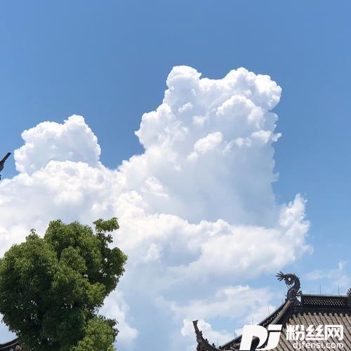 救苦威灵咒的专辑