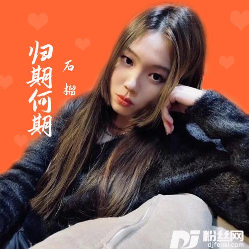 归期何期DJ沈念版的专辑