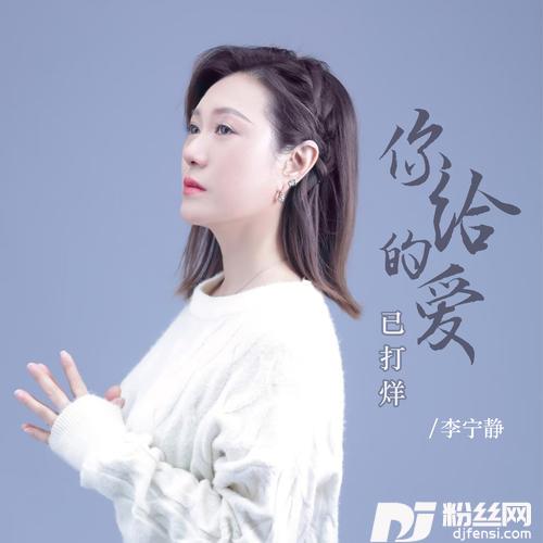 你给的爱已打烊DJ默涵版