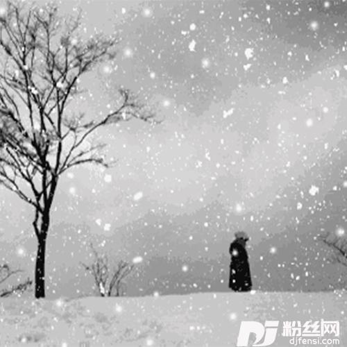 怎叹那山有木兮木有枝