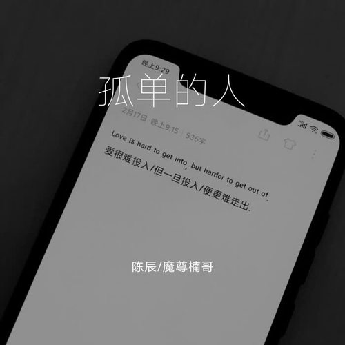 孤单的人啊孤单的歌的专辑