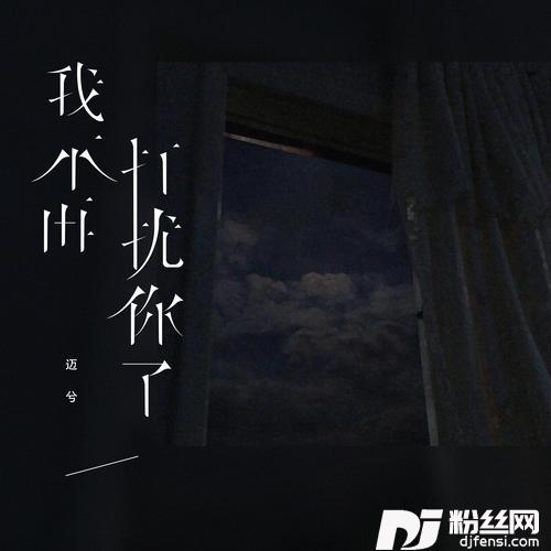 我不再打扰你了DJEva版的专辑