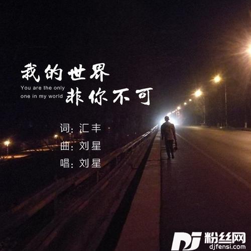 我的世界非你不可