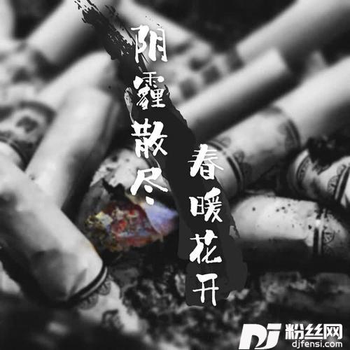 阴霾散尽静等花开的专辑