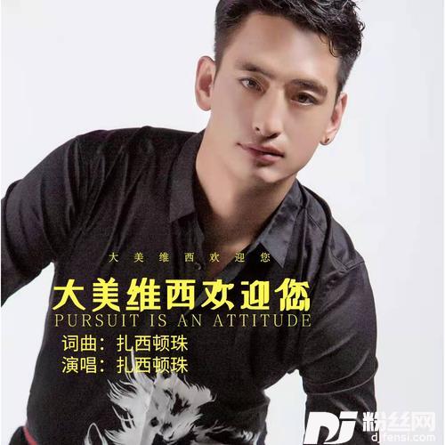 大美维西欢迎您