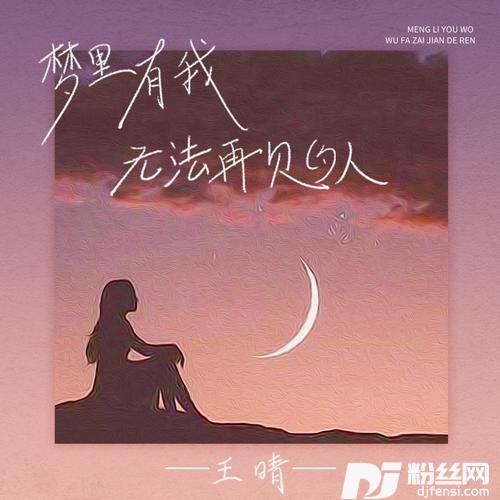 梦里有我无法再见的人