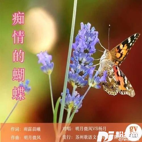 痴情的蝴蝶（吉巴特）