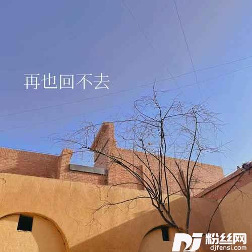 枕边誓言的专辑