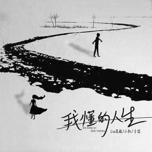我懂的人生DJ京仔版的专辑